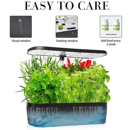 12 Pods Hydroponics Growing System Kit