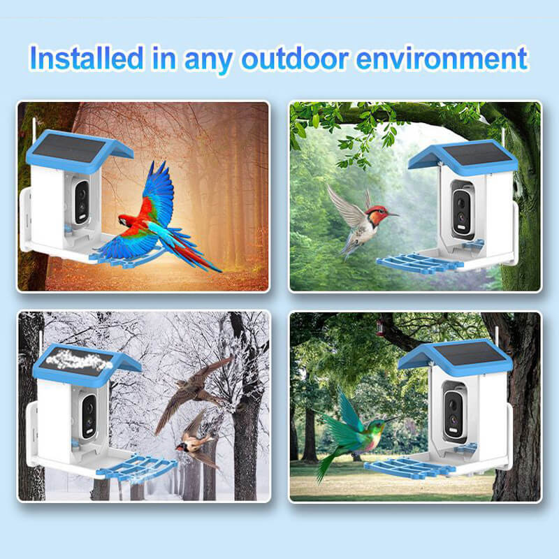 Solar Smart Bird Feeder with Camera