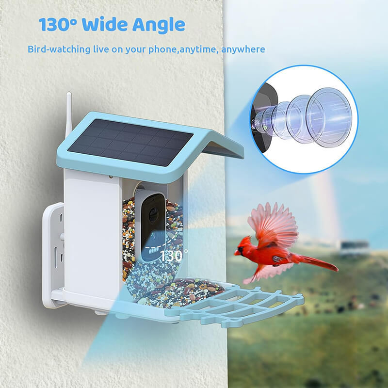 Solar Smart Bird Feeder with Camera