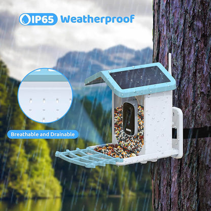 Solar Smart Bird Feeder with Camera