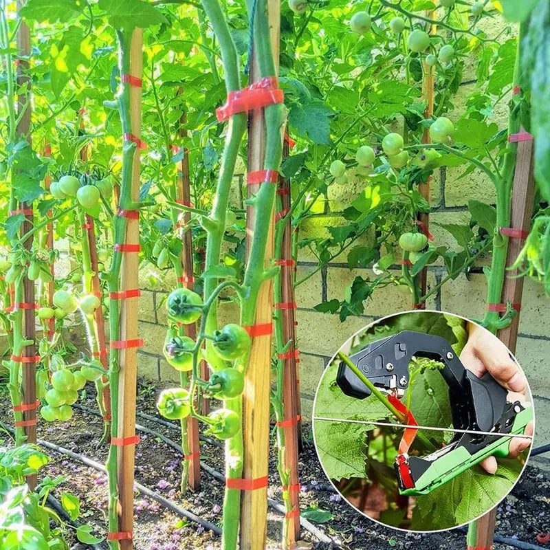 An amazing tool for vine plant bundling, presice and neat to binding and prevent them from bending and breaking. Super time and labor savings, this plant staple gun allows for efficient and rapid tying of plants, effortless 50%, lighter 20%, tying up to 3000 bundles per hour and significantly reducing the time and effort required to be compared to manual tying.